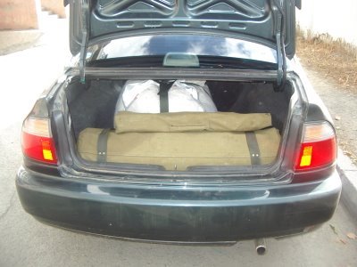 このぐらいの大きさになる