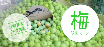 スクリーンショット 2013-06-19 22.31.47